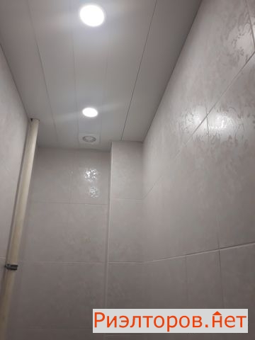     28 6 ( 14)