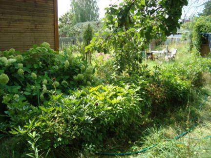 ������ ��������� ������� � ��� ������ ������������� ����� (���� �4)