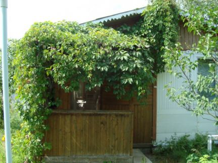 ������ ��������� ������� � ��� ������ ������������� ����� (���� �5)