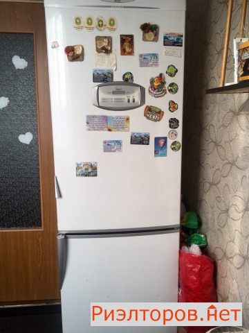     141 ( 5)