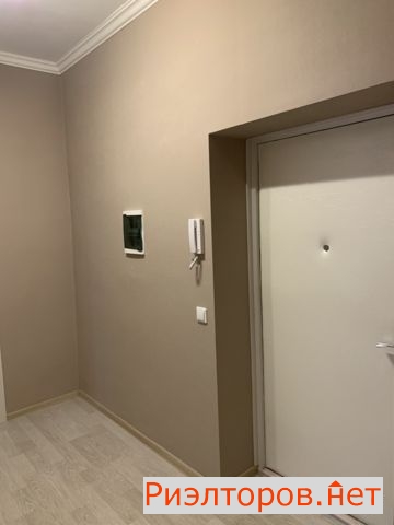     13 ( 11)