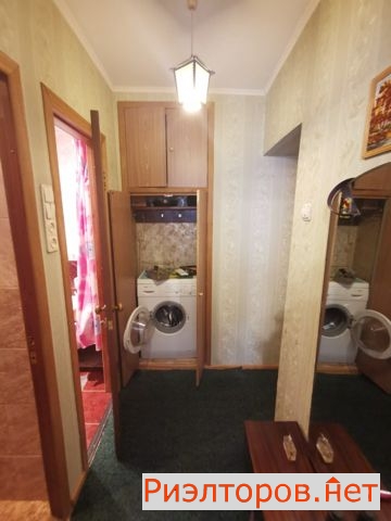     261 ( 16)