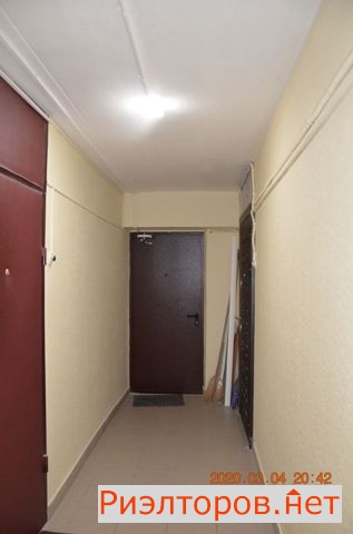     121 ( 14)