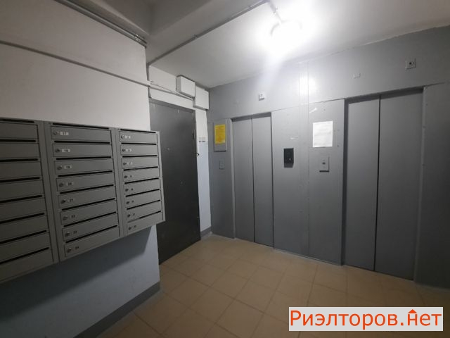   2-   6 ( 11)