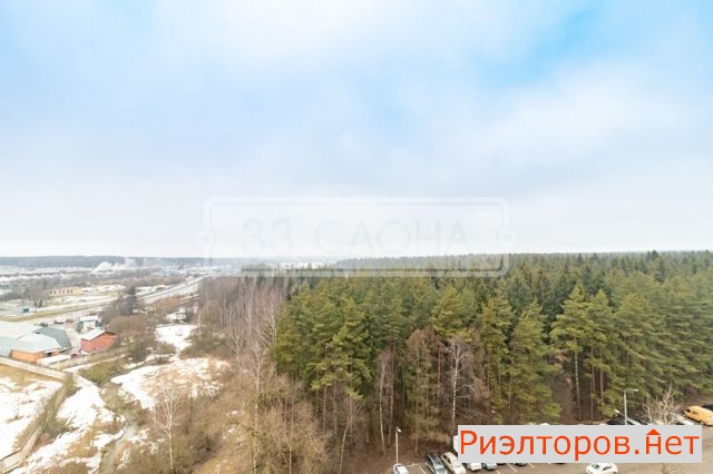 ������ �������� �1131 (���� �20)