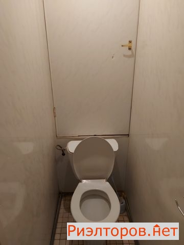     14 ( 10)