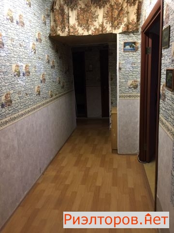     141 ( 13)