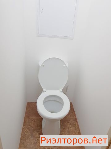     13 ( 13)