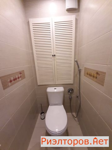      3 ( 17)