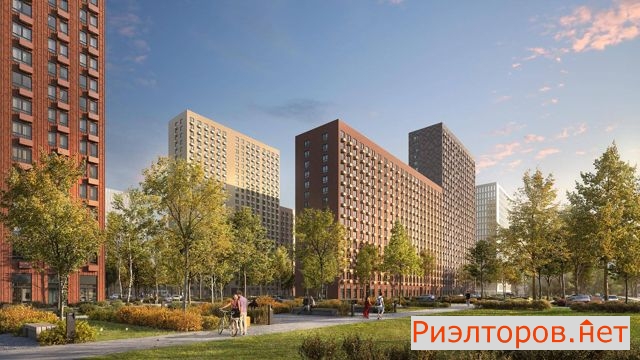 �� �������� ���� ����� (���� �8)