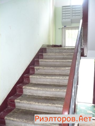     261 ( 12)