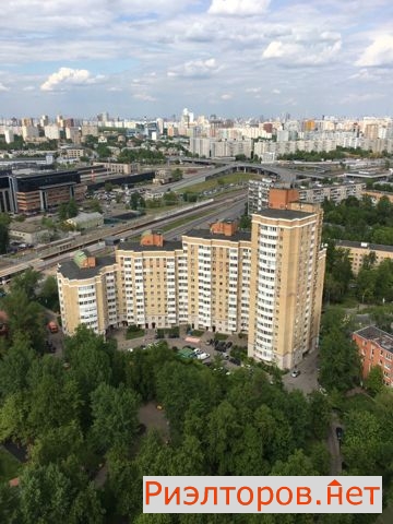     131 ( 16)
