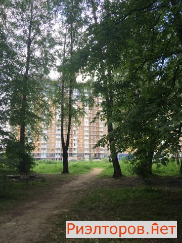      ( 2)