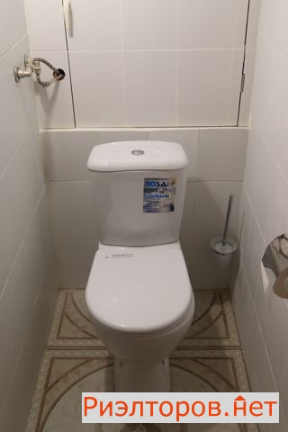     131 ( 17)