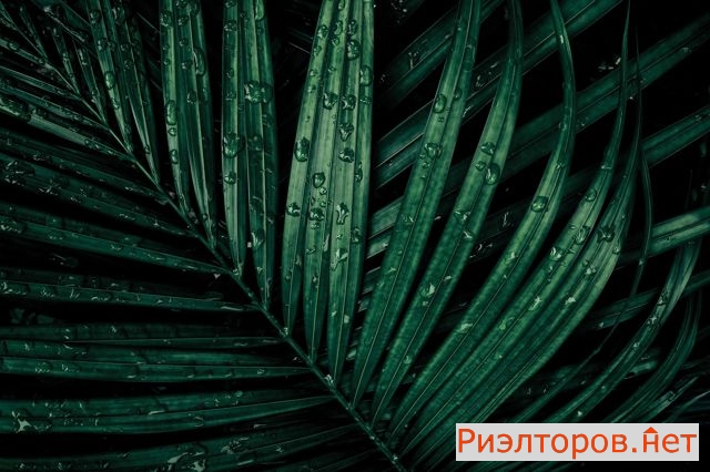 ������ �������� �������� ���� ��95 (���� �17)