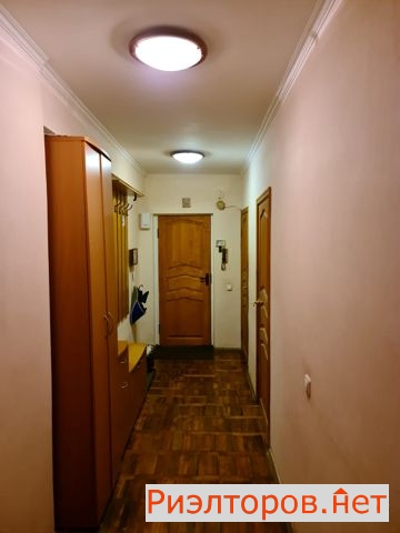     261 ( 6)