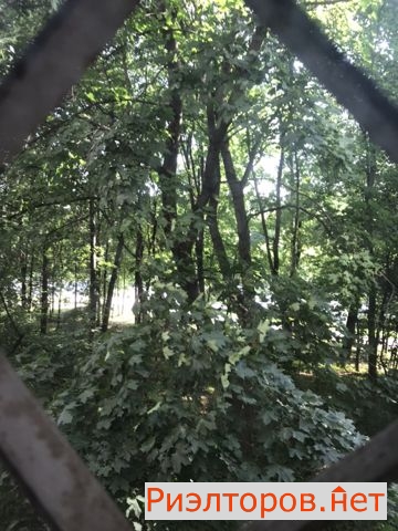    8 ( 15)