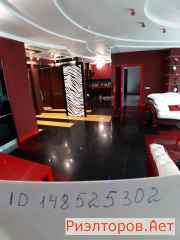      81 ( 23)