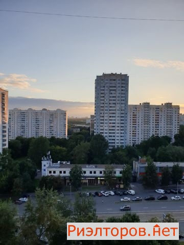     293 ( 16)