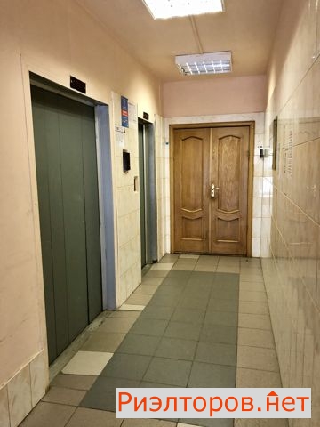     141 ( 17)