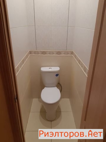     12 ( 20)