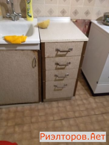      482 ( 12)