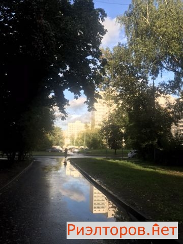   11-   52 ( 28)