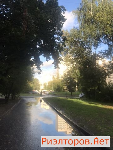   11-   52 ( 29)