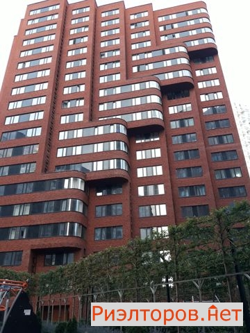      392 ( 13)