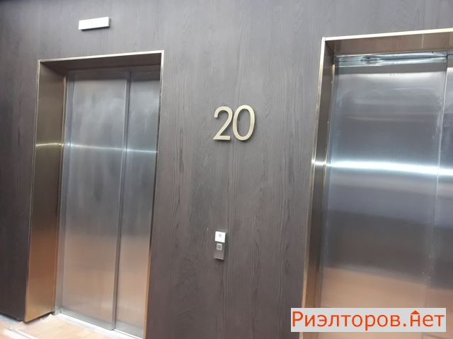      392 ( 15)