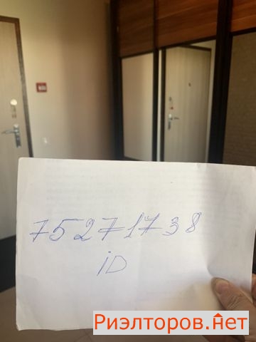       20 ( 13)