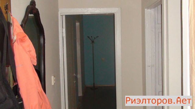     11 ( 5)