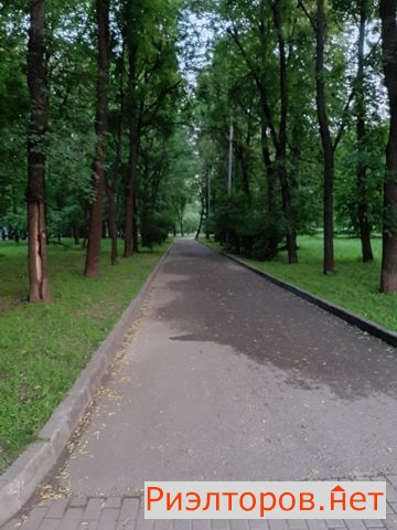     8 ( 30)