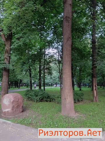     8 ( 31)
