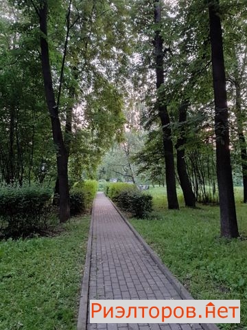     8 ( 33)