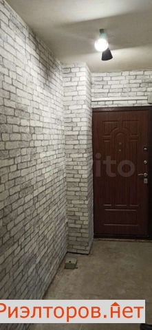     281 ( 9)
