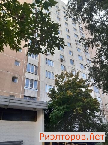     81 ( 15)
