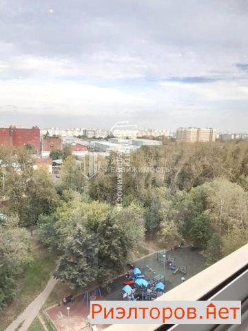     144 ( 11)