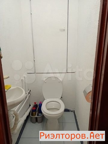      231 ( 11)