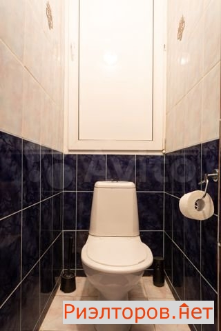      5 ( 17)