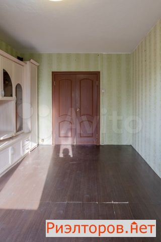     231 ( 20)