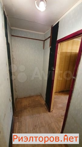     291 ( 16)