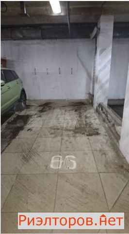     76 ( 19)