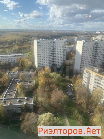    1441 ( 6)