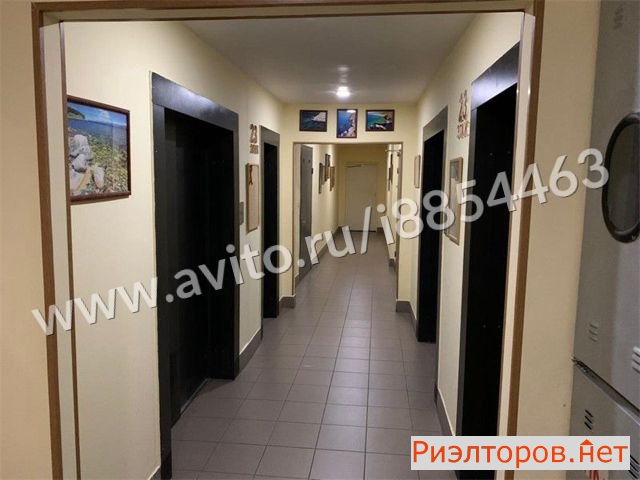     1441 ( 19)
