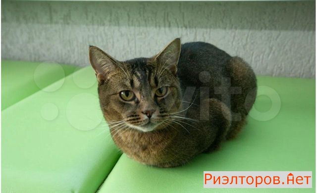 ������ �������� ����� ������� ������������ 37 21 (���� �26)