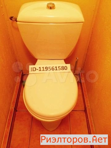      8 ( 13)