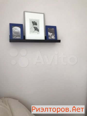   15-   241 ( 8)