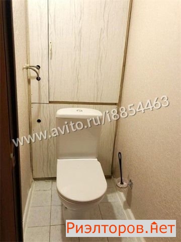     491 ( 15)