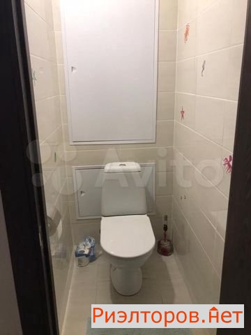      282 ( 18)